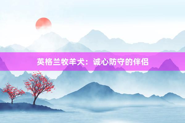 英格兰牧羊犬:诚心防守的伴侣