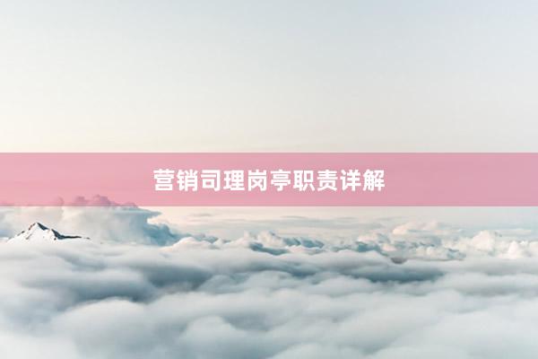 营销司理岗亭职责详解